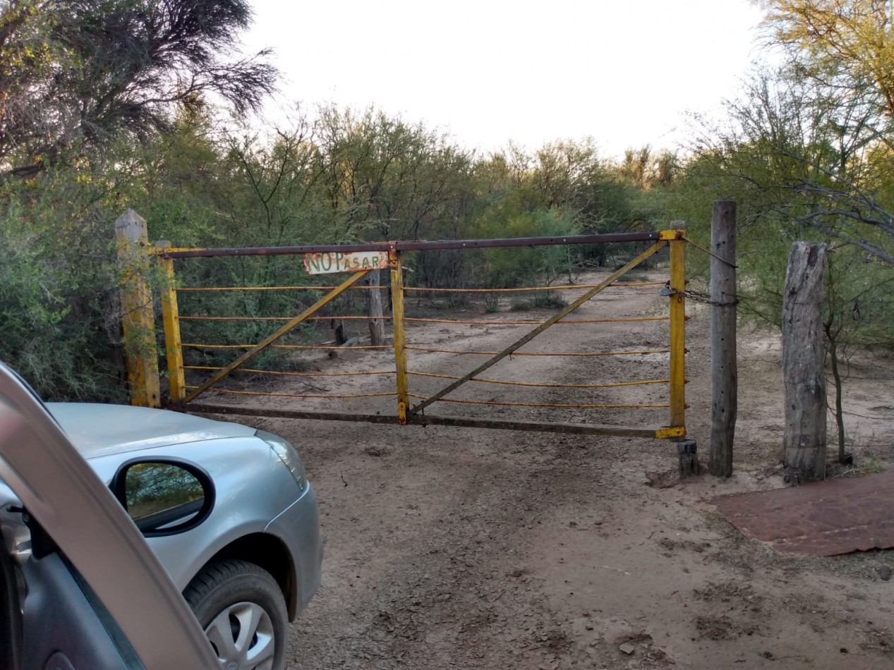 SE VENDE CAMPO DE 150 HA Candelaria San Luis