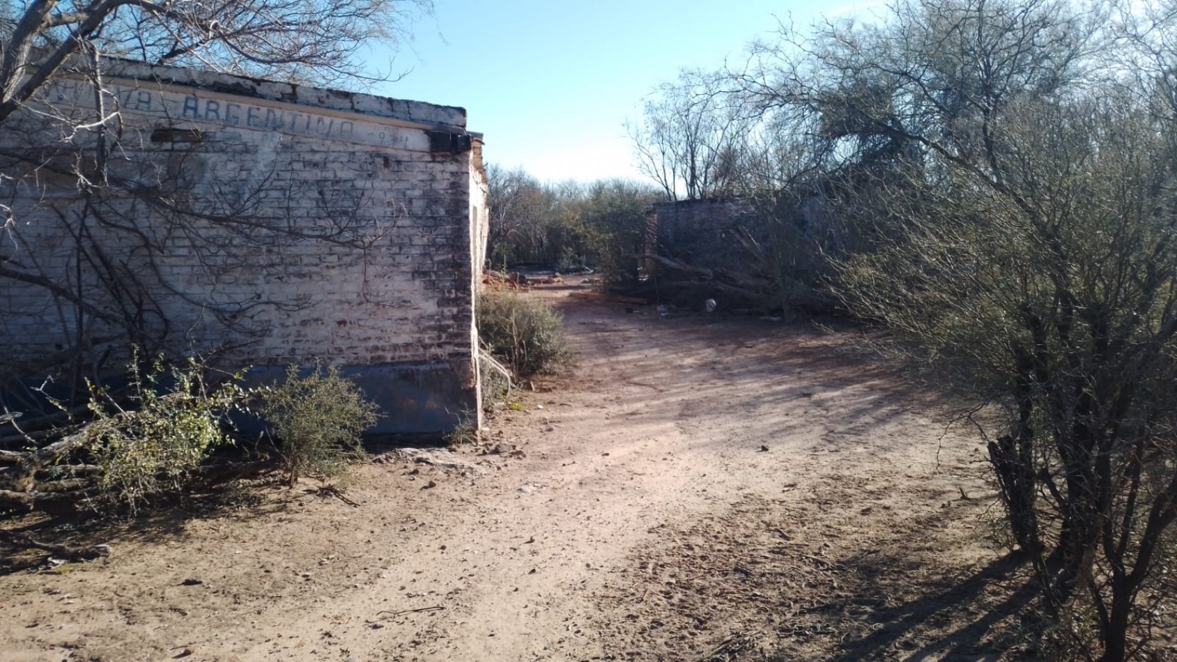 SE VENDE CAMPO DE 150 HA Candelaria San Luis