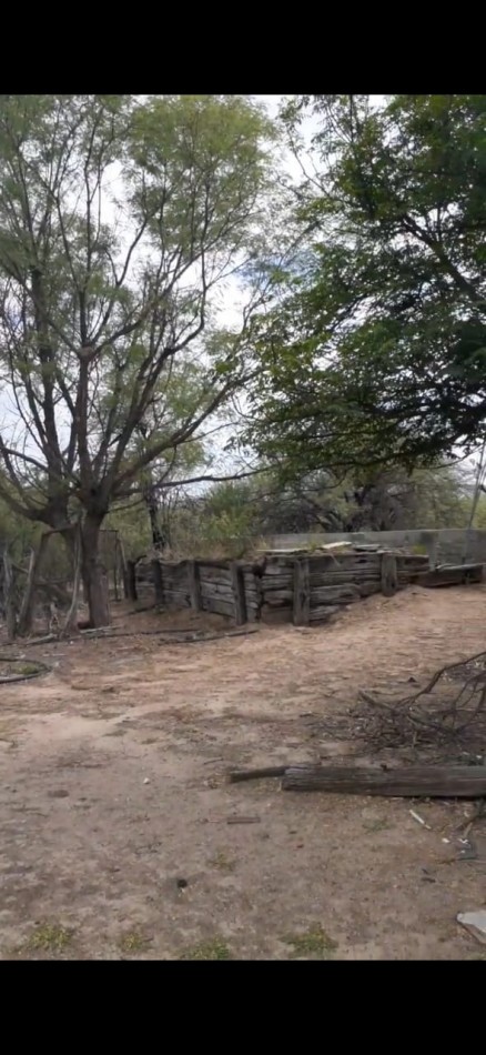 SE VENDE CAMPO DE 150 HA Candelaria San Luis