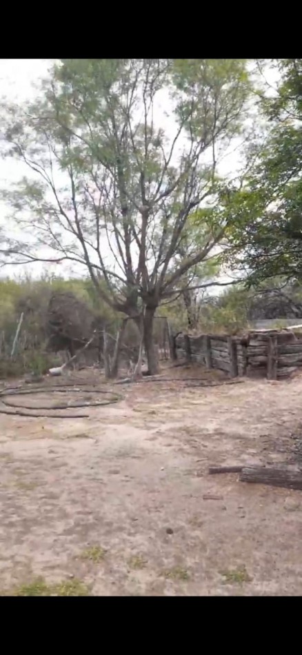 SE VENDE CAMPO DE 150 HA Candelaria San Luis