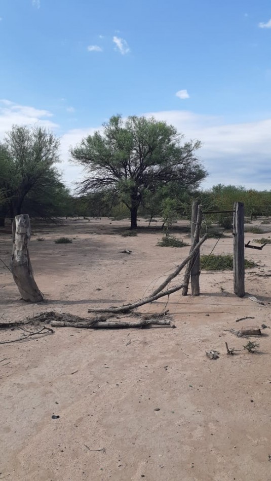 SE VENDE CAMPO DE 150 HA Candelaria San Luis