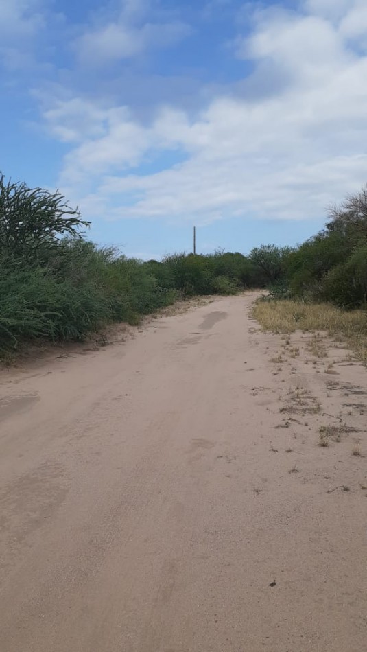 SE VENDE CAMPO DE 150 HA Candelaria San Luis