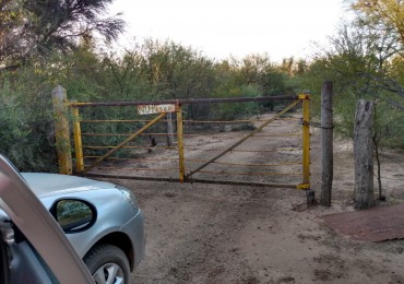 SE VENDE CAMPO DE 150 HA Candelaria San Luis