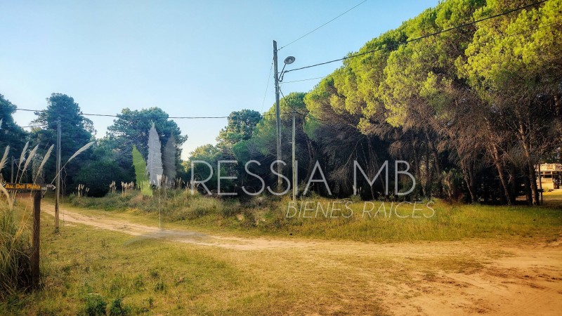 LOTE EN MAR DE LAS PAMPAS