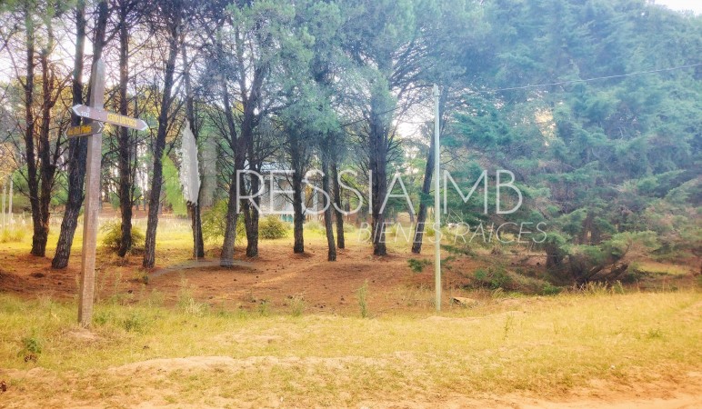 LOTE EN MAR DE LAS PAMPAS