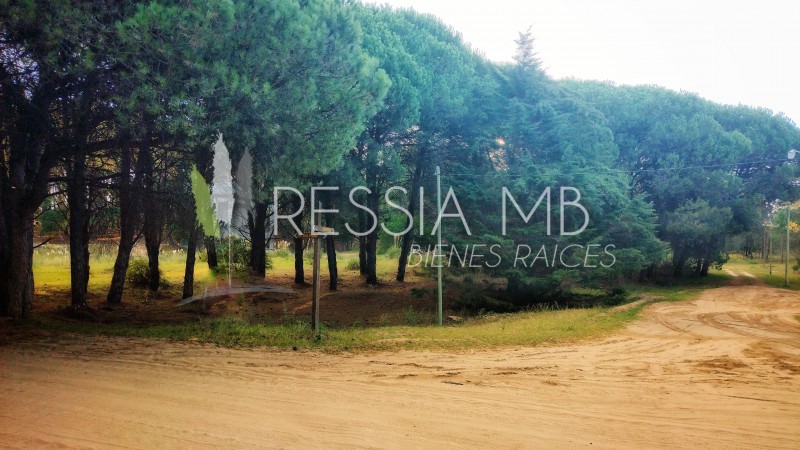 LOTE EN MAR DE LAS PAMPAS