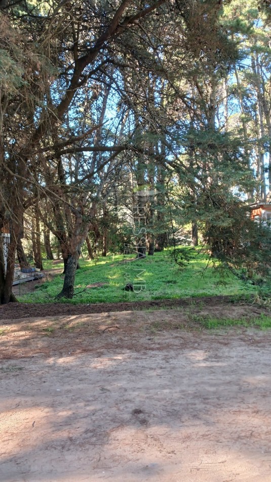 LOTE UNIFAMILIAR - 10x35mts - Pinamar e/40 y 41 - Mar Azul