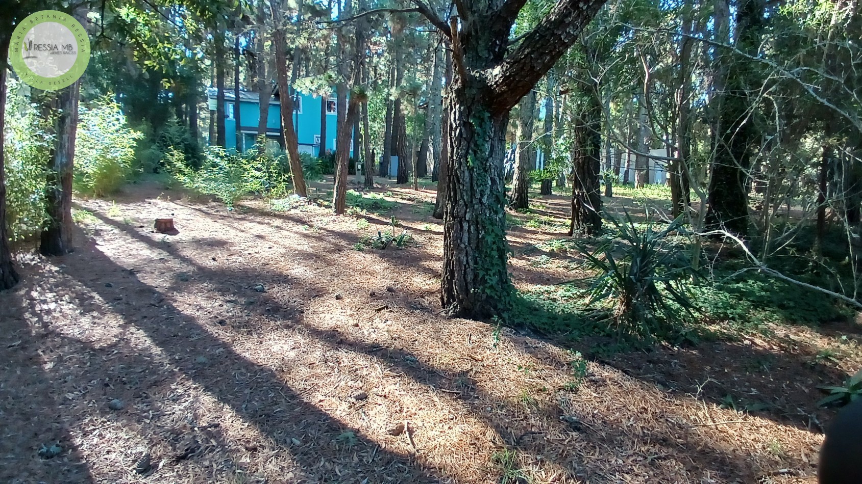 Casa en Venta - 3 Dormitorios + gran parque arbolado - Mar de las Pampas