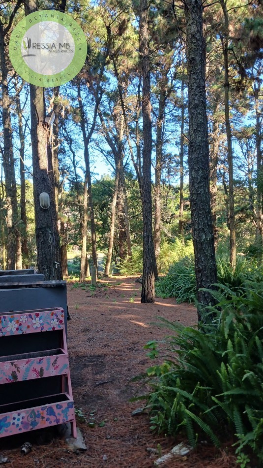 Casa en Venta - 3 Dormitorios + gran parque arbolado - Mar de las Pampas