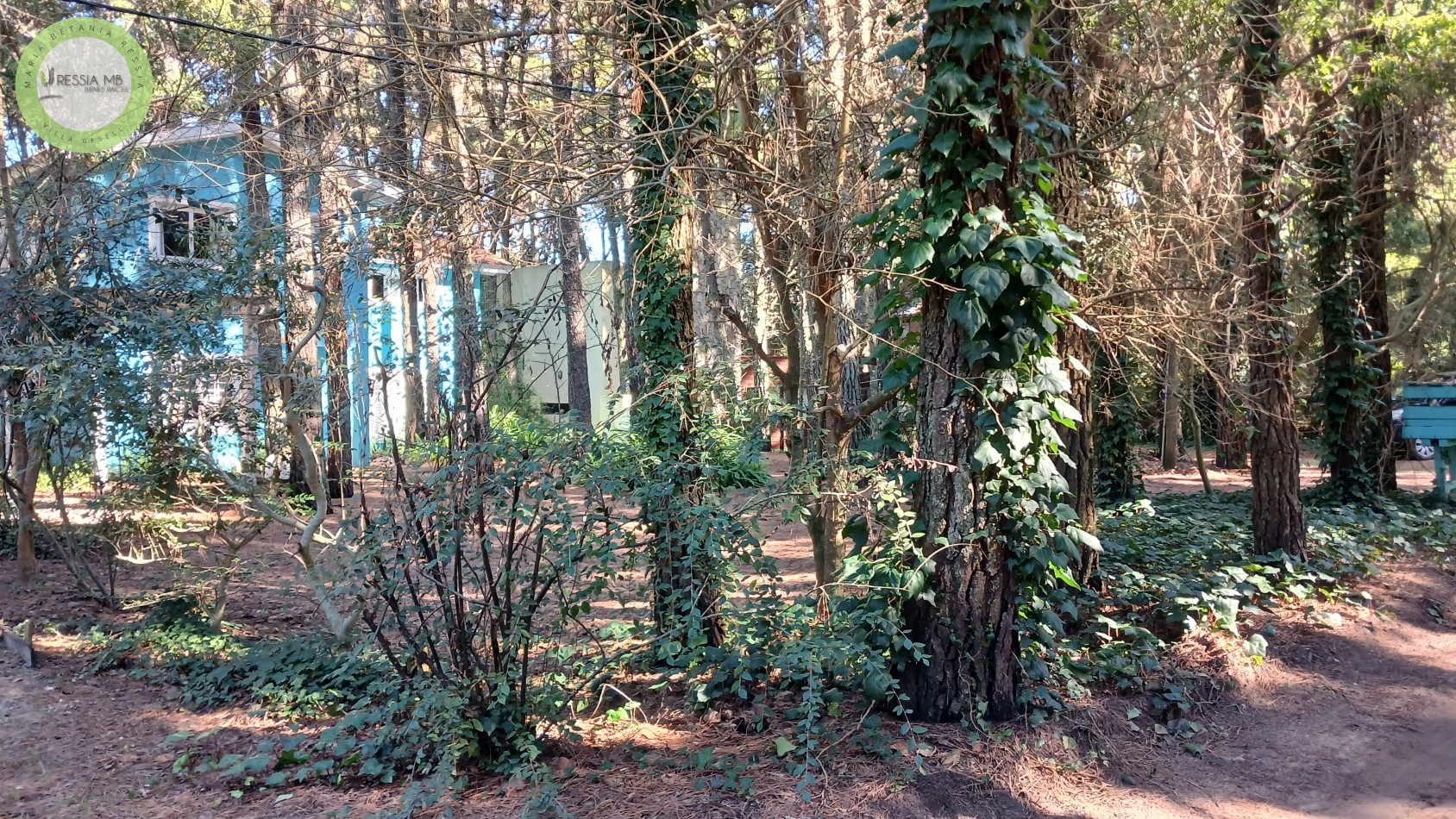 Casa en Venta - 3 Dormitorios + gran parque arbolado - Mar de las Pampas