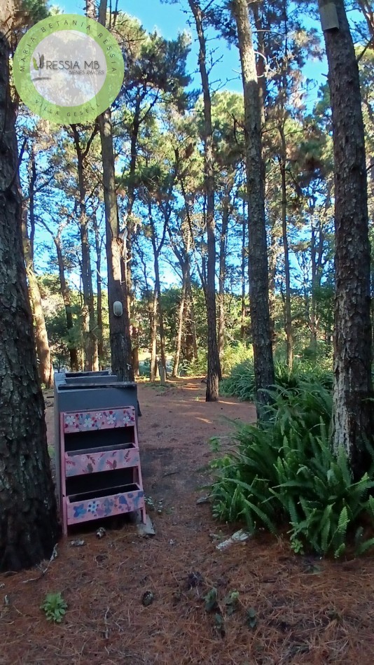 Casa en Venta - 3 Dormitorios + gran parque arbolado - Mar de las Pampas