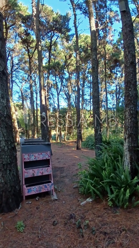 Casa en Venta  - 3 Dormitorios + gran parque arbolado - Ranqueles entre Mansilla y Av. del Plata, con salida tambien a Av. del Lucero - Mar de las Pampas