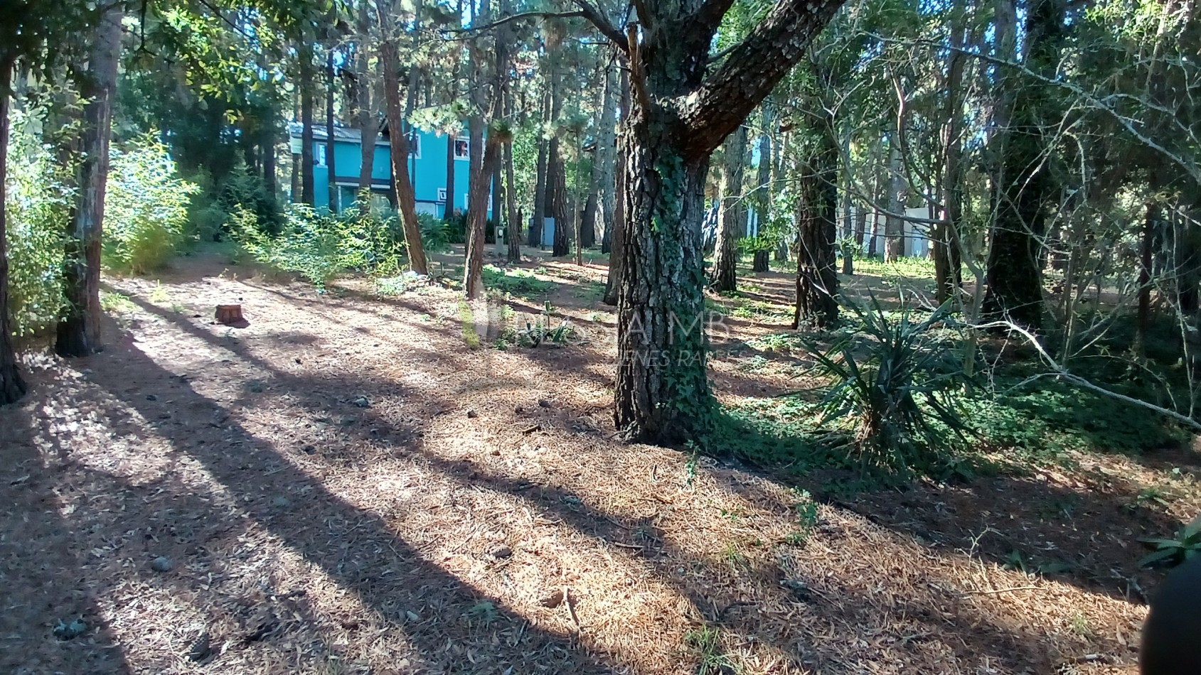 Casa en Venta  - 3 Dormitorios + gran parque arbolado - Ranqueles entre Mansilla y Av. del Plata, con salida tambien a Av. del Lucero - Mar de las Pampas