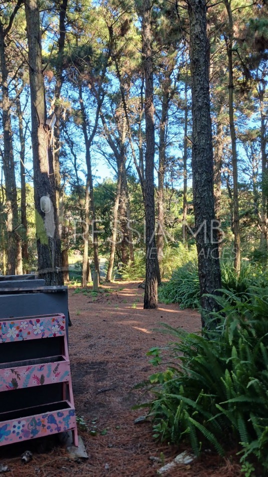 Casa en Venta  - 3 Dormitorios + gran parque arbolado - Ranqueles entre Mansilla y Av. del Plata, con salida tambien a Av. del Lucero - Mar de las Pampas