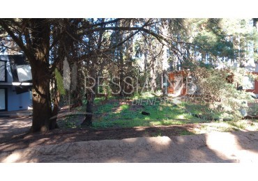 LOTE UNIFAMILIAR - 10x35mts - Pinamar e/40 y 41 - Mar Azul