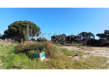 Loteo "Tierra de Mar" - Colonia Marina - Lotes desde 920 m² | Escriturables | A 350 mts del mar